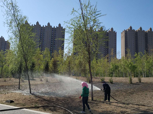 太阳成集团61999(中国)有限公司官网