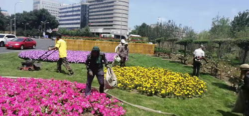 太阳成集团61999(中国)有限公司官网