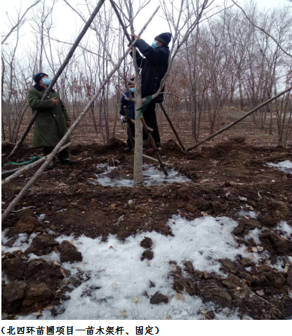 太阳成集团61999(中国)有限公司官网