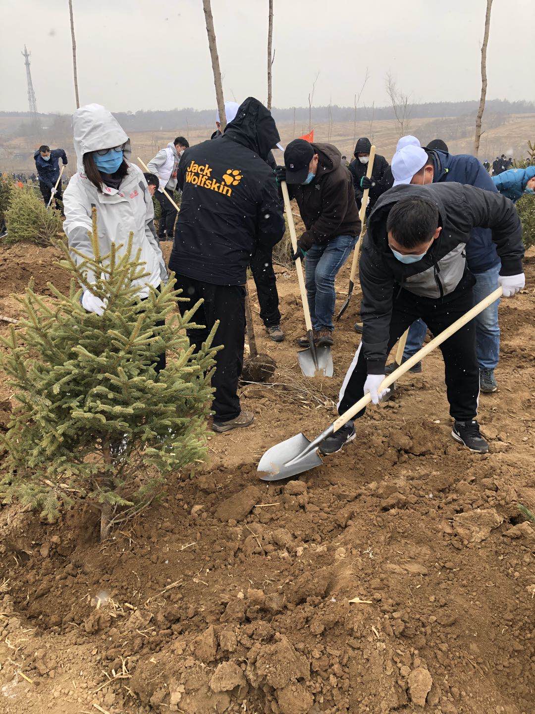 太阳成集团61999(中国)有限公司官网