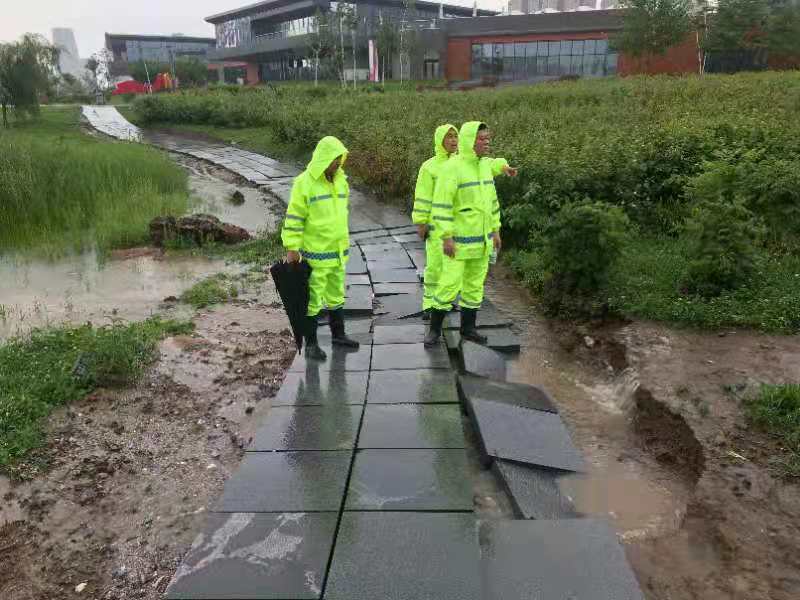 太阳成集团61999(中国)有限公司官网