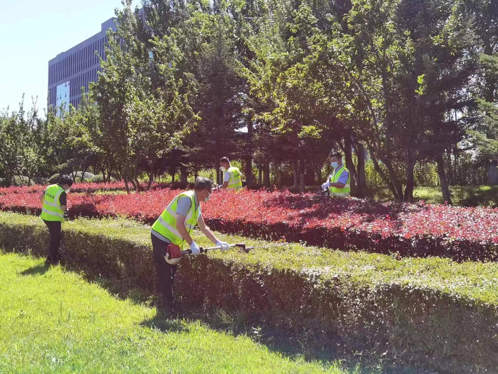 太阳成集团61999(中国)有限公司官网