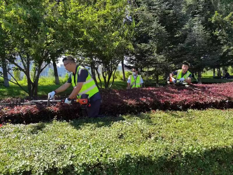 太阳成集团61999(中国)有限公司官网