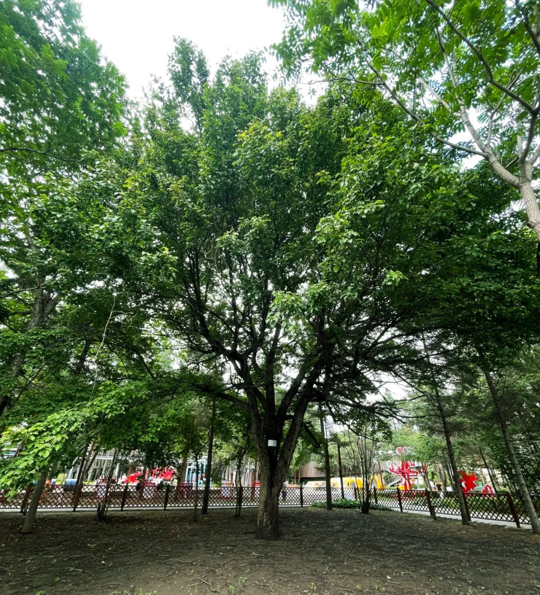 太阳成集团61999(中国)有限公司官网