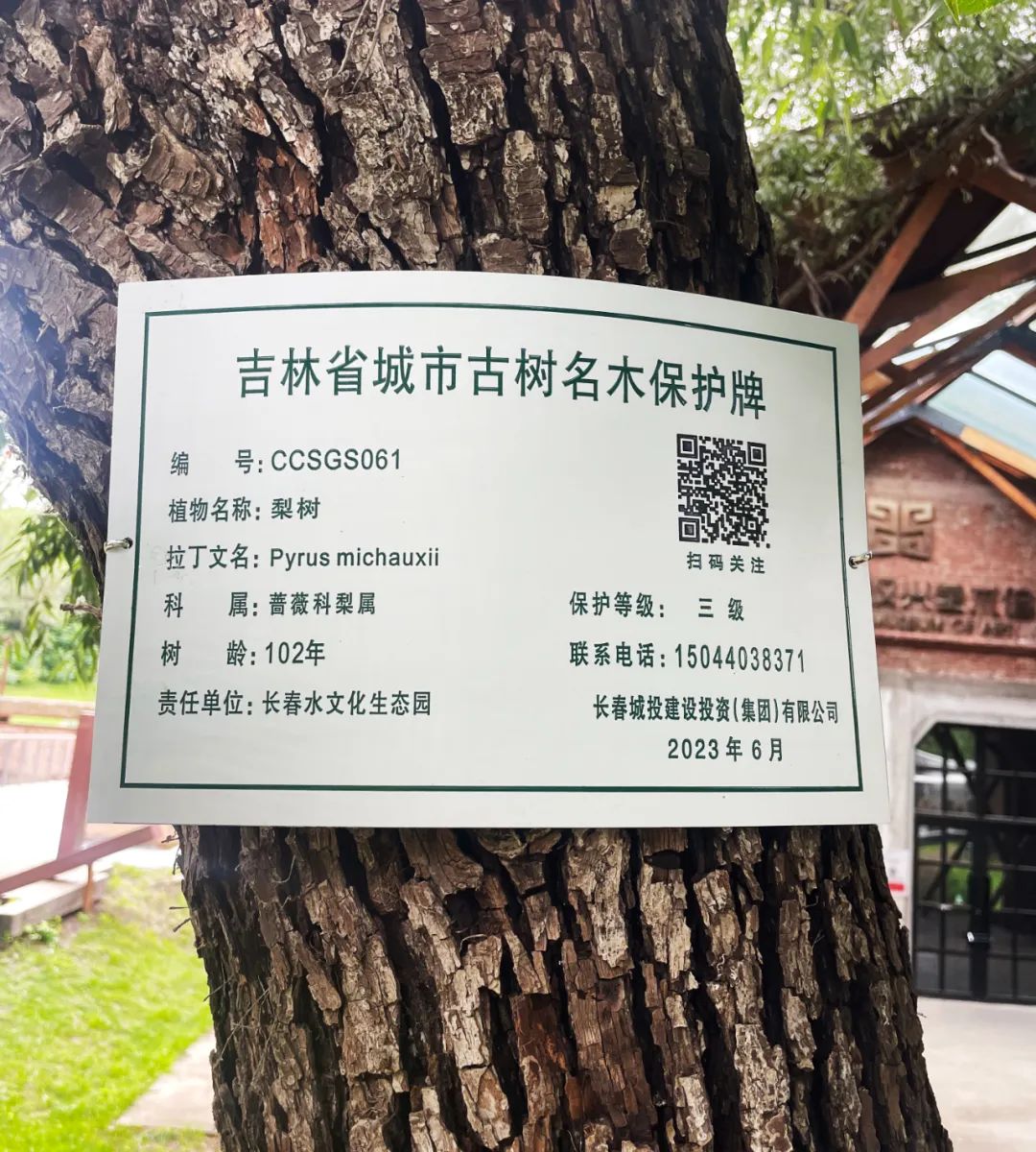 太阳成集团61999(中国)有限公司官网