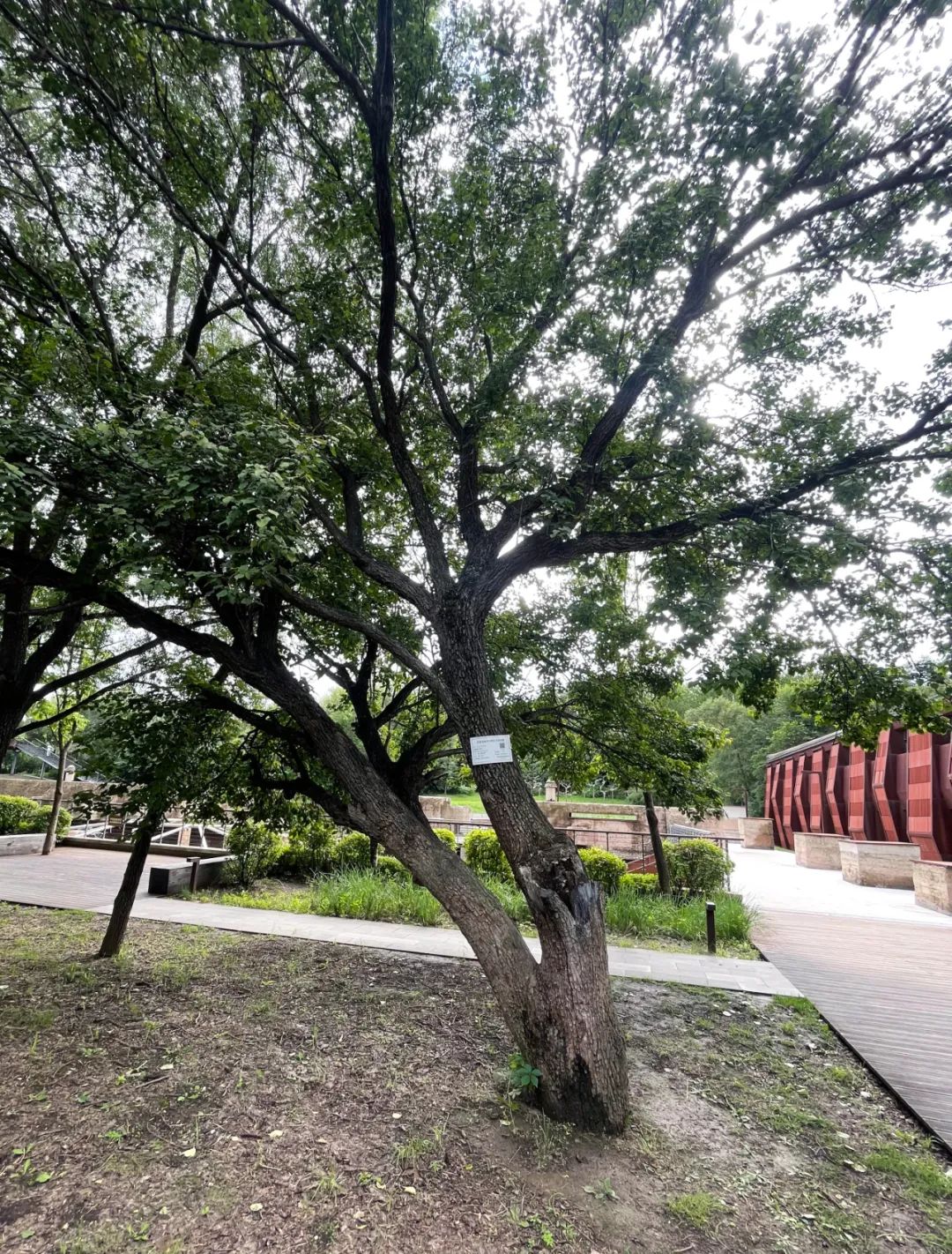 太阳成集团61999(中国)有限公司官网